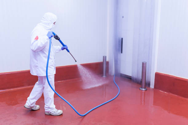 Best Boat and Dock Cleaning  in Dry Ridge, KY